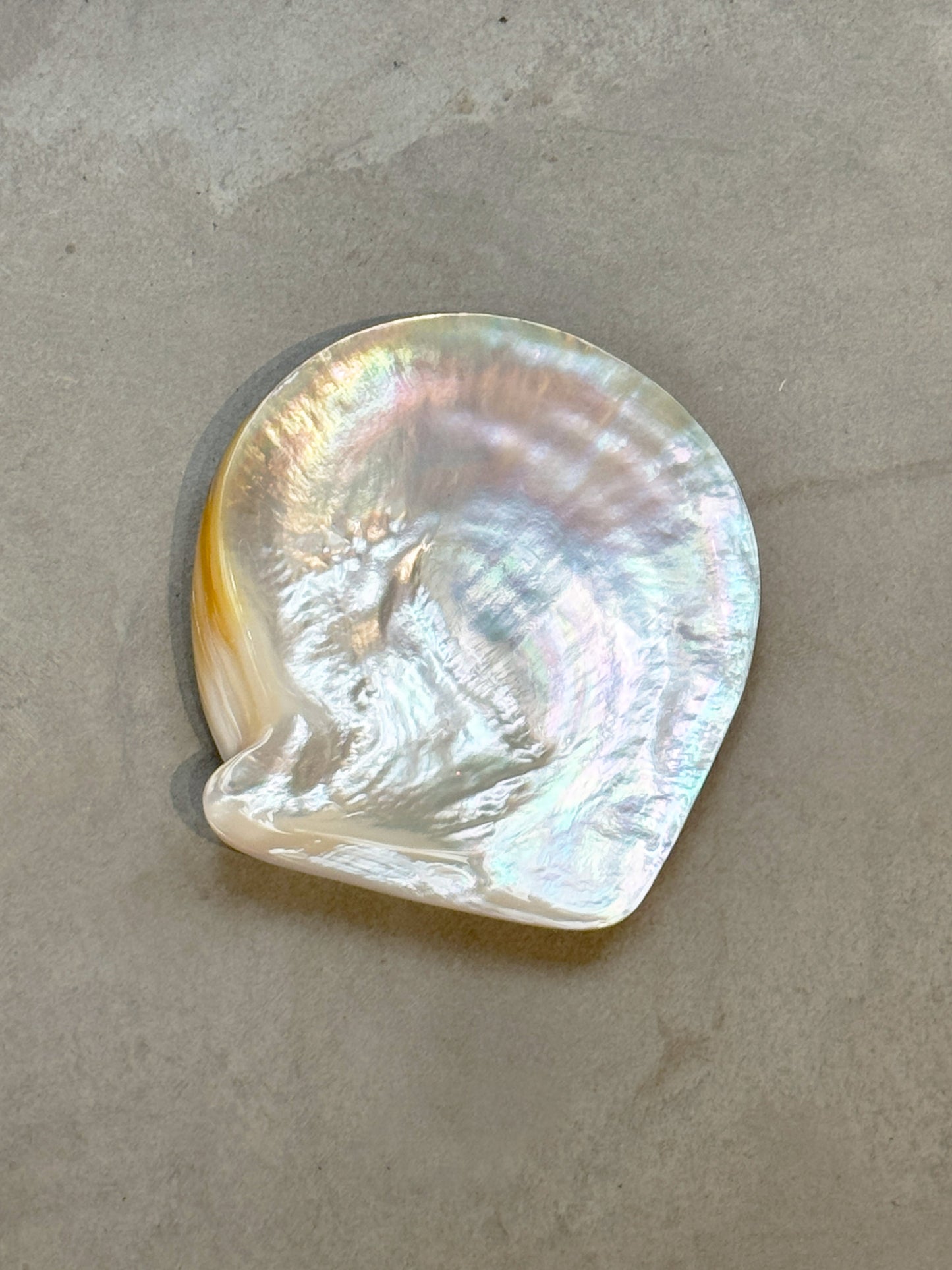 Oyster Set - Mother of pearl