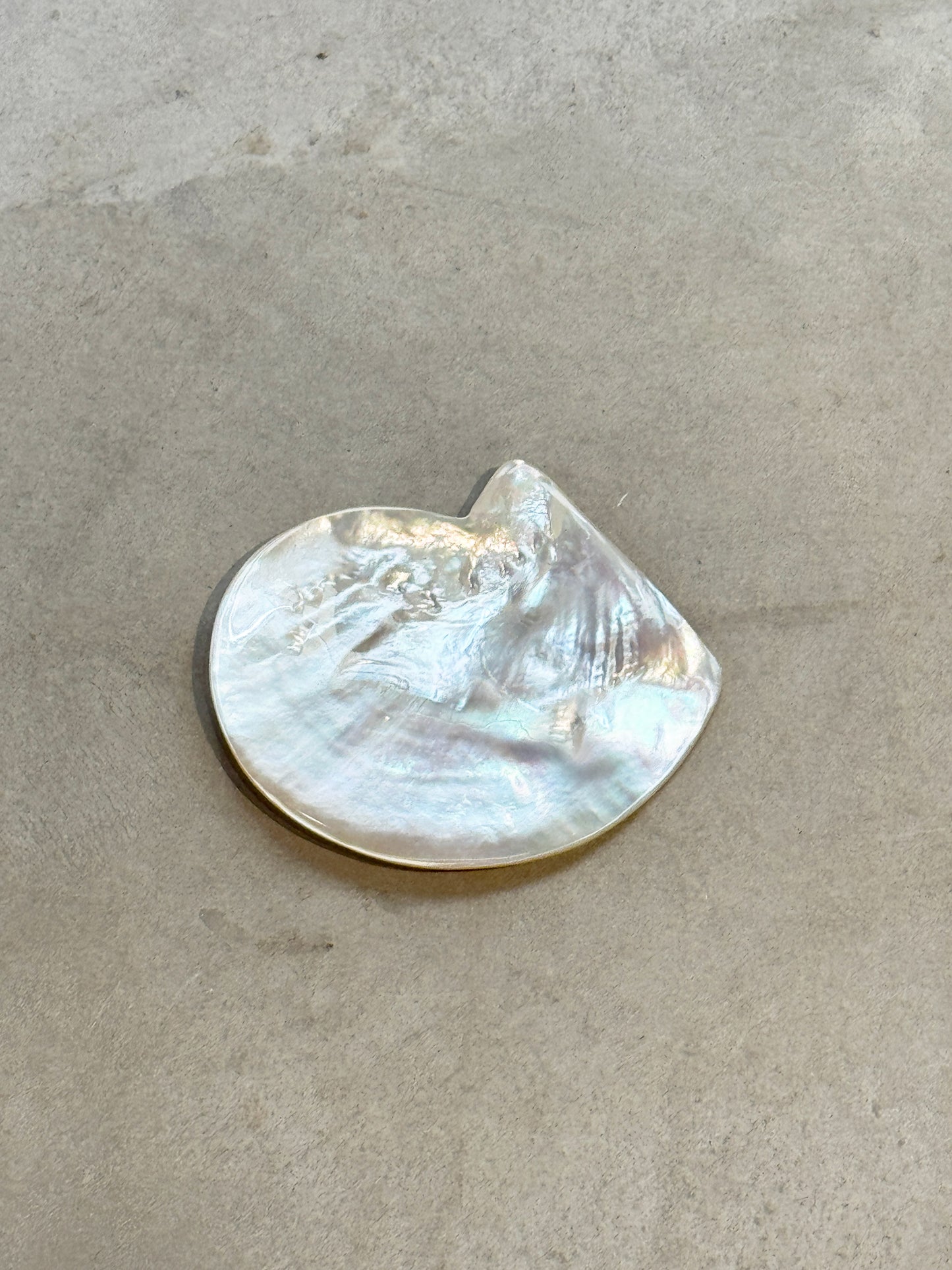 Small Oyster Set - Mother of pearl