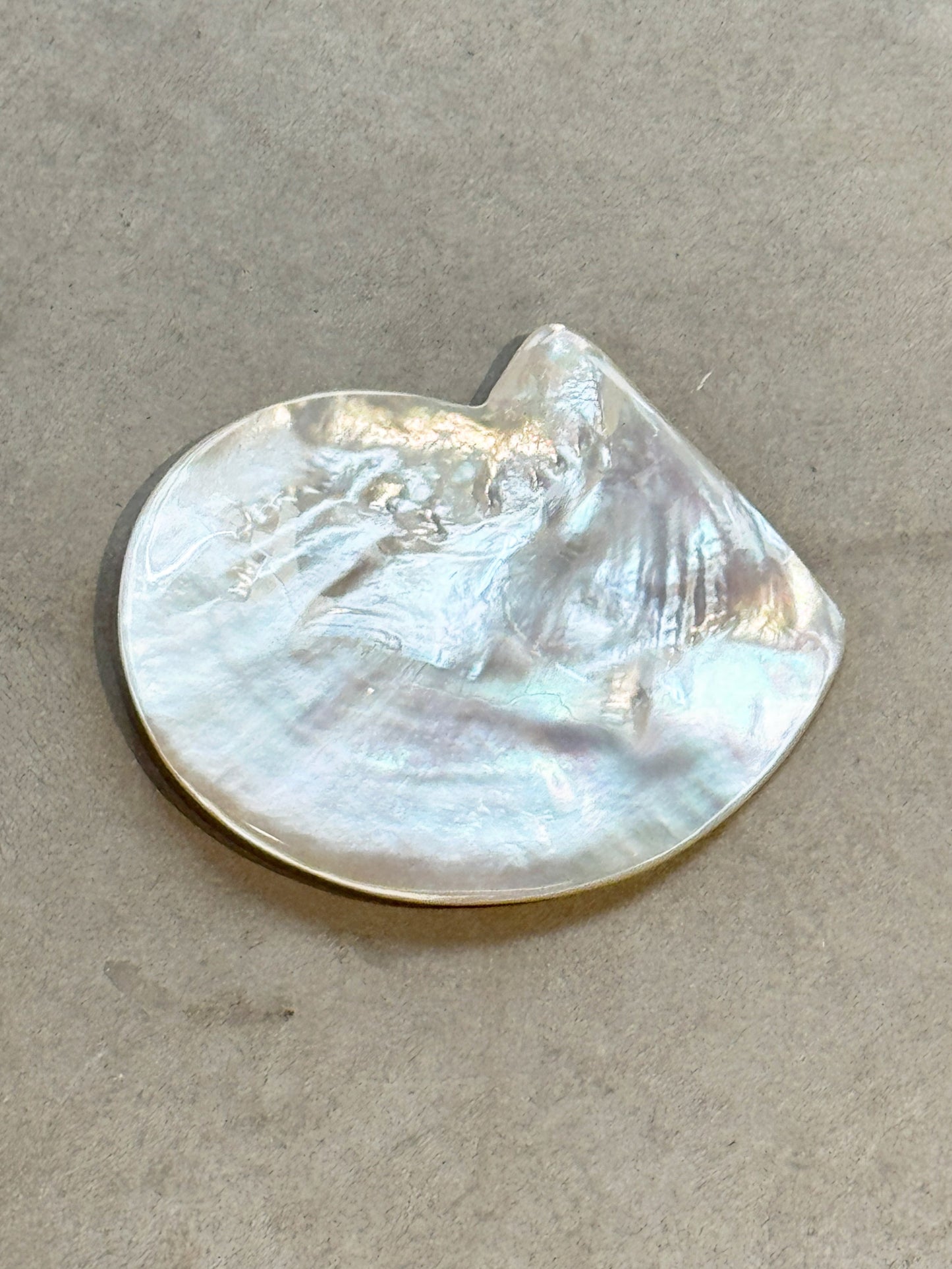 Small Oyster Plate - Mother of Pearl